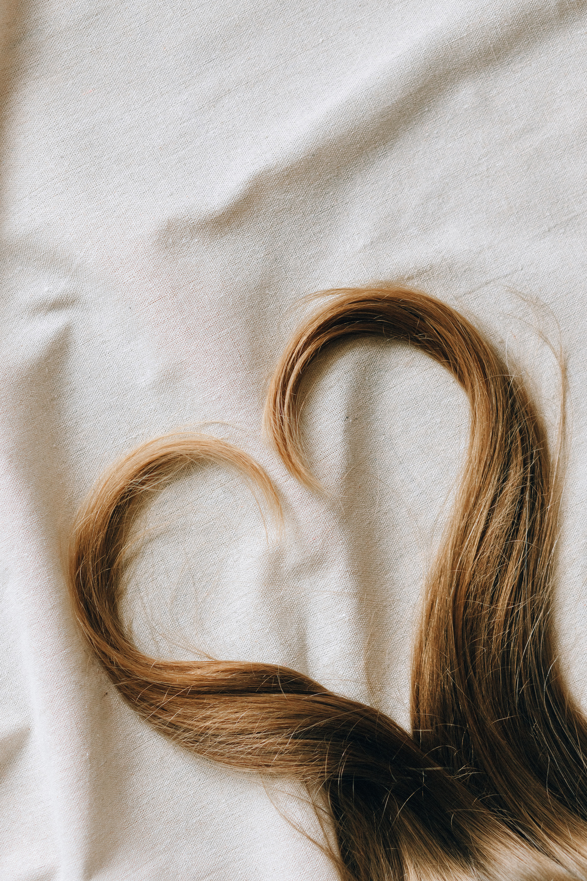 Brown Hair on White Textile